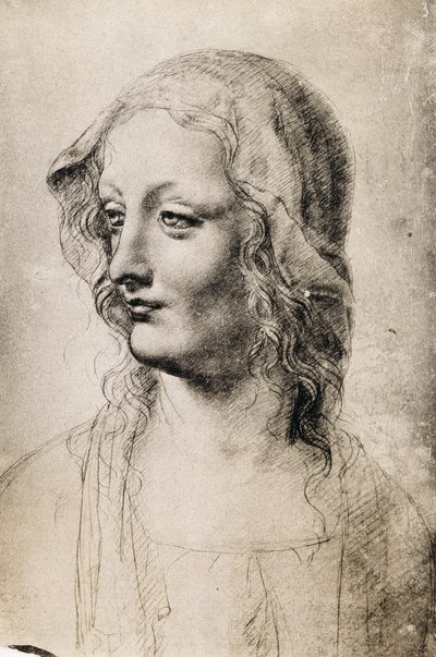 若い女性の頭（紙に炭） 作： Leonardo da Vinci